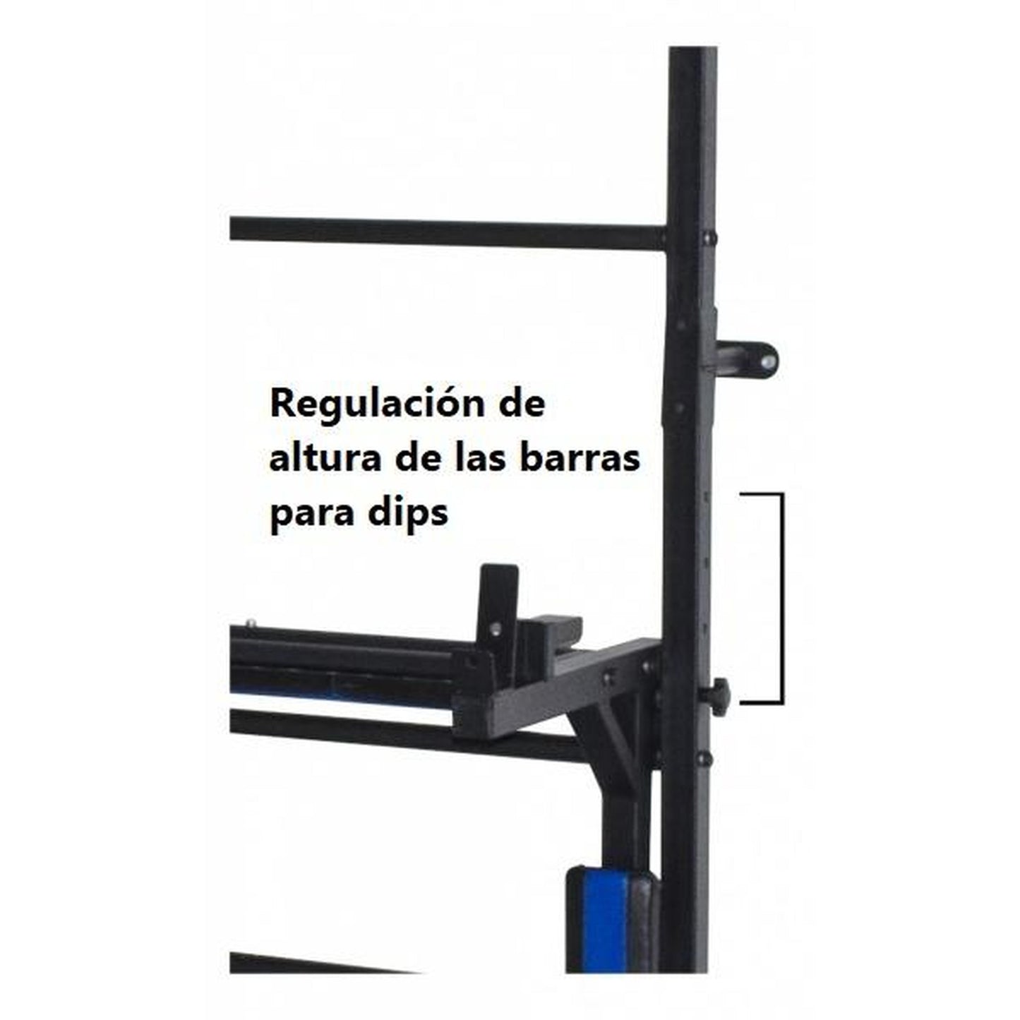 Gimnasio Adultos de Pared "3 en 1" con Espaldera, Barras para Dips, Banco Plegable y Barra de Dominadas BOGATYR FLEXTER 246*110*68.5 cm Blanco - Negro